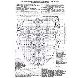 Dụng Cụ Diện Chẩn Con bọ lớn