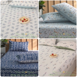Bộ Ga Gối Cotton Lụa Cao Cấp Nhà TâmAn - Chat Chọn Mẫu