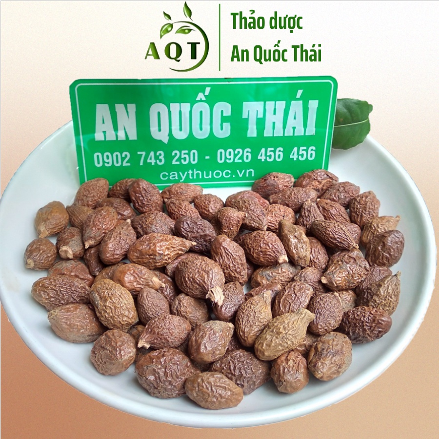 Nở Đều 95%, Đười Ươi Rừng (Hột Ươi, Lười Ươi) Pha Nước Hạt É, Mủ Trôm Uống Giảm Cân
