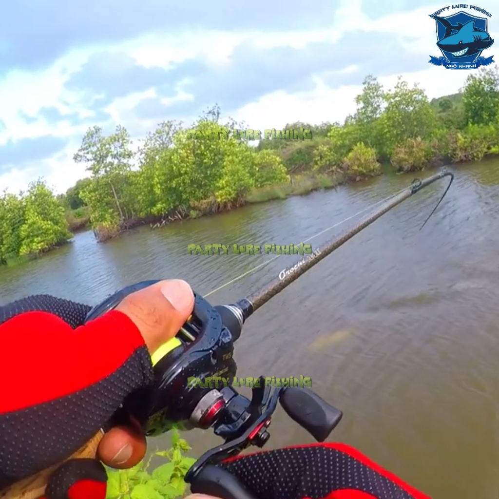 Mồi câu cá Popper Seaknight, mồi lure cá măng, chéc, cháo, chẽm, mú...