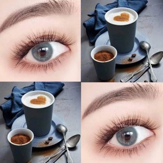 Lens - Kính áp tròng xám xanh Tây sử dụng 1 năm (tặng kèm khay đơn)