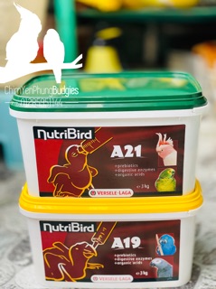 COMBO NUTRIBIRD A21 + A19 (MỖI LOẠI 100G) CHO VẸT NON.