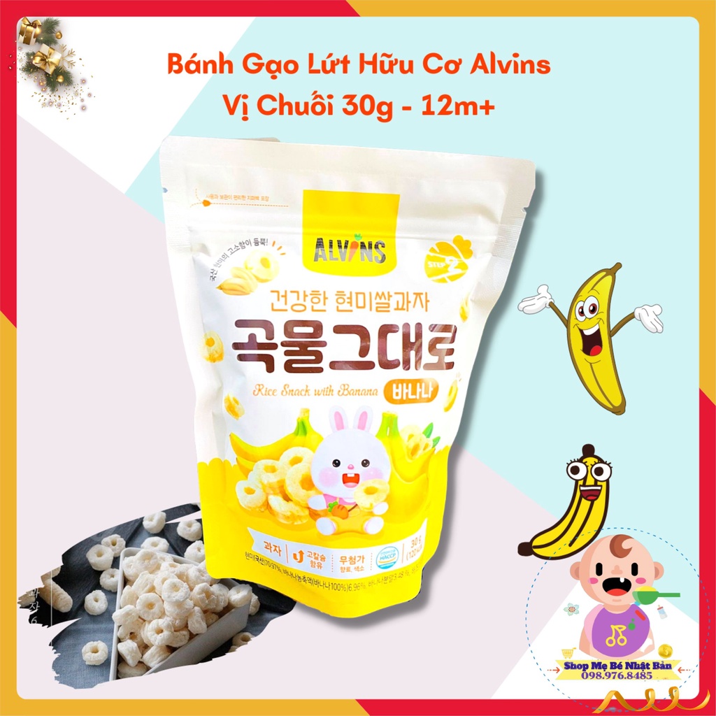 Bánh Gạo Lứt Hữu Cơ Alvins - Bánh Organic Cho Bé Ăn Dặm Từ 6 - 12 Tháng Tuổi