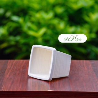 Chậu nhựa vuông dày dặn trồng tiểu cảnh sân vườn