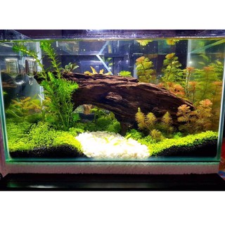NỀN THUỶ SINH CAY AQUA SOIL(Bao 3L~3kg)