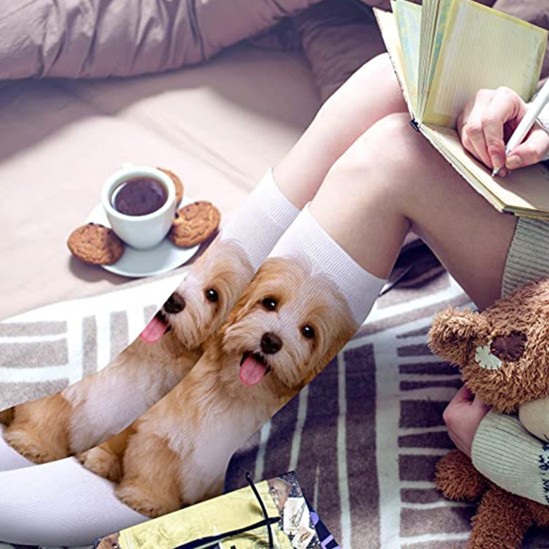 Xixi Set 5 Cặp Vớ Trắng Nhuộm Màu Độc Đáo