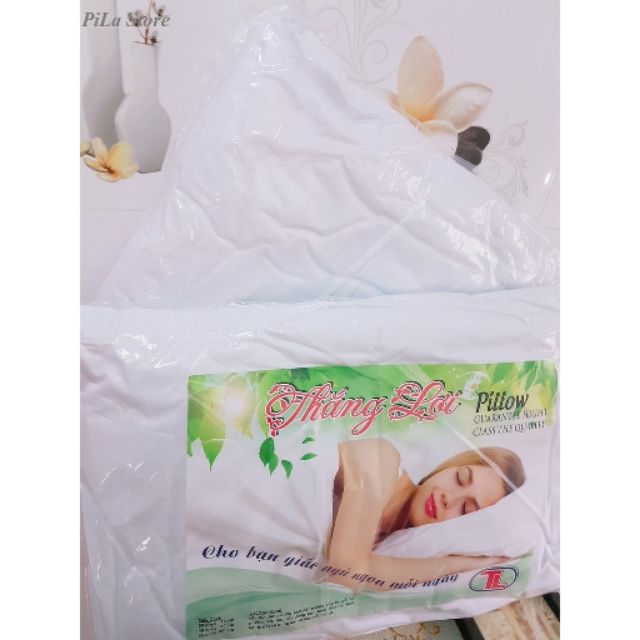 Tặng Kèm Vỏ Combo 2 Ruột Gối Hơi Thắng Lợi 50x70