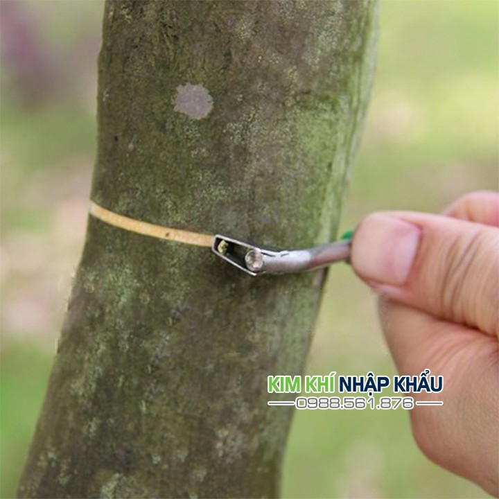 Dao khoanh vỏ điều tiết cây lưỡi inox cán xanh - D1