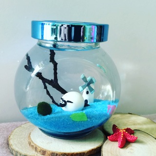 Set Marimo đồi cừu trắng