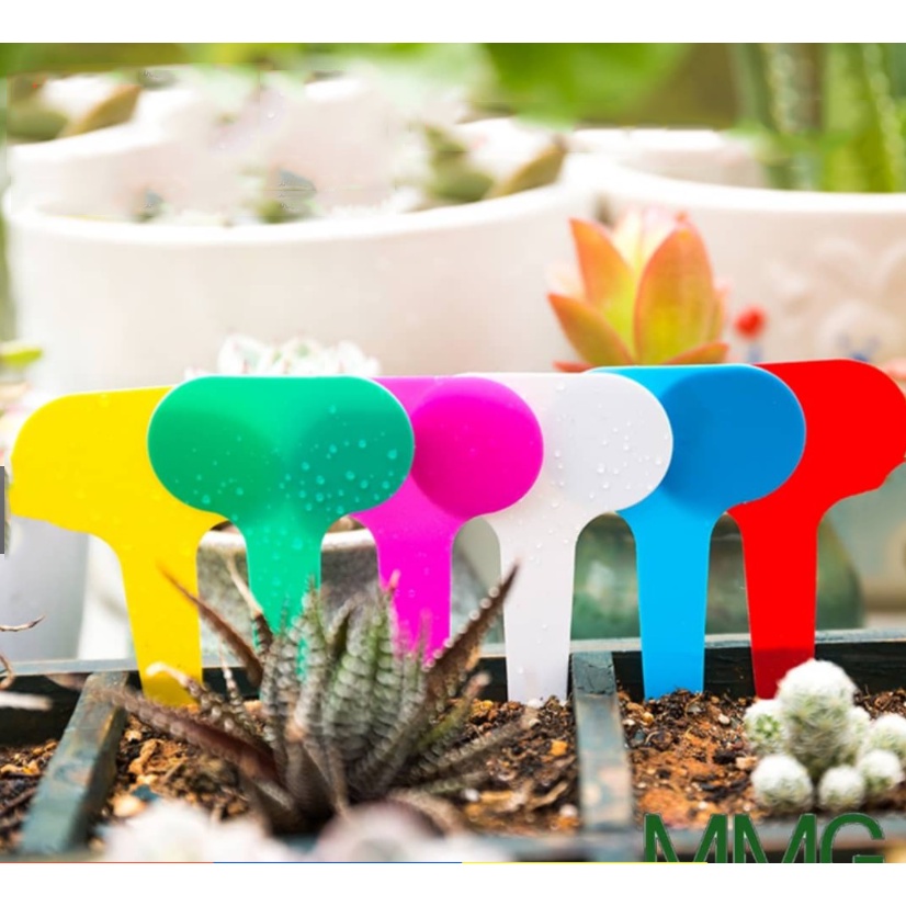 Thẻ Đánh Dấu Cây Trồng Bằng Nhựa PVC Chống Thấm Nước Có Thể Tái Sử Dụng Tiện Dụng