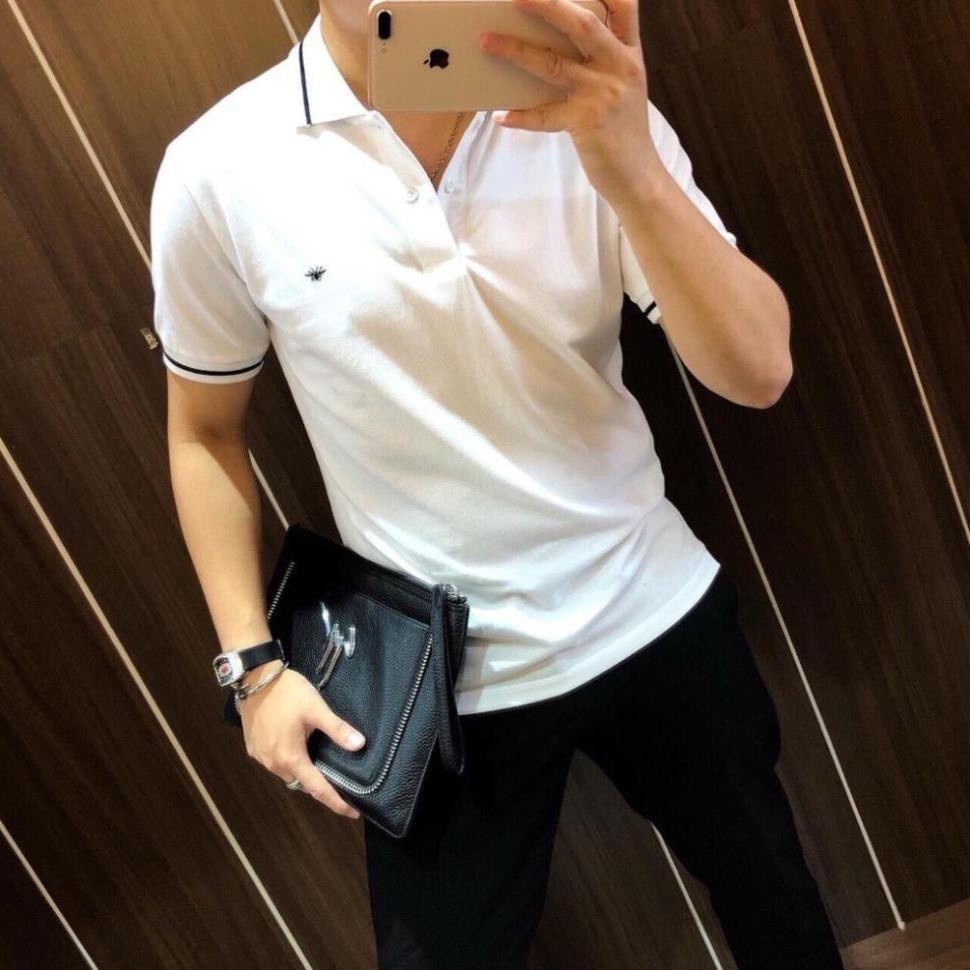 ÁO POLO Nam cổ bẻ Tahstyle phông nam ngắn tay chất liệu cotton cá sấu mềm mát co giãn | BigBuy360 - bigbuy360.vn