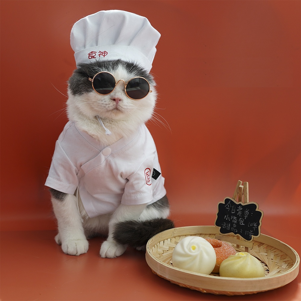 Kính mát sành điệu thời trang cho chó mèo cưng