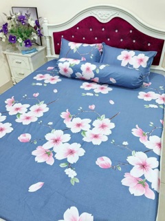 Bộ ga gối cottong lạnh