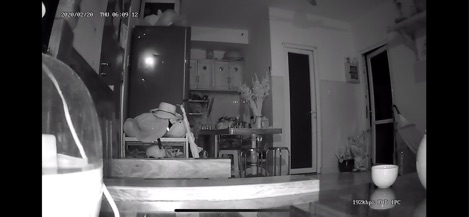 CAMERA IP CARECAM