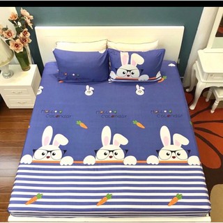 Ga chống thấm cotton hàn quốc thoáng mát bảo vệ đệm