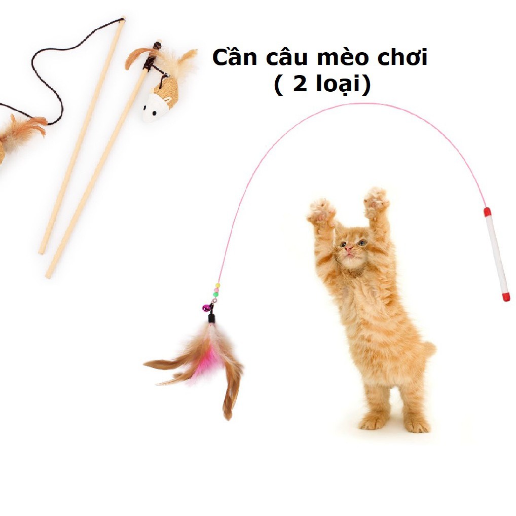 Hanpet.GV- CẦN CÂU mèo (2 loại cán gỗ và dây thép) đồ chơi cho mèo