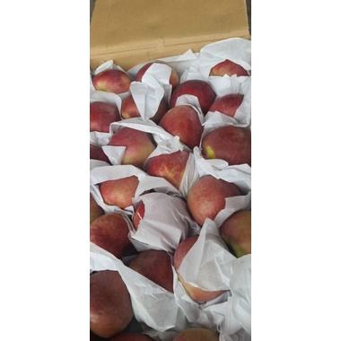 Táo đá giòn ngọt