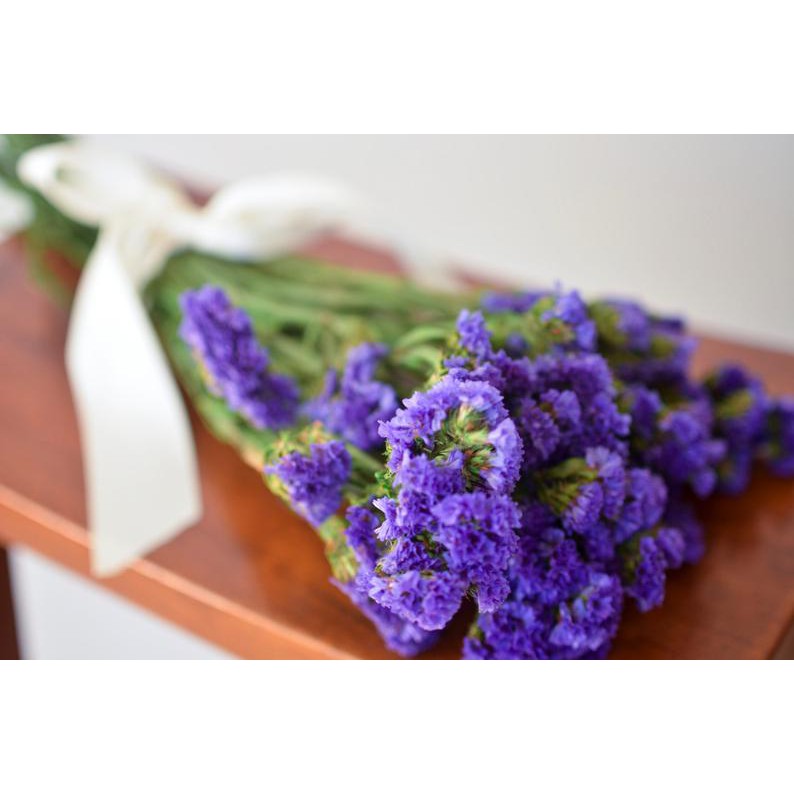 Hoa khô ❤️SIÊU ĐẸP❤️ Hoa Salem khô nhiều màu đẹp mê mẩn, decor, trang trí, chụp hình...