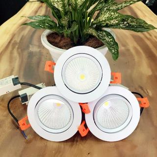 Ngọc Phương Lighting