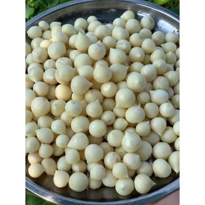 BỊCH 1KG TỎI CÔ ĐƠN HÀNG CHUẨN LOẠI 1 SIÊU NGON