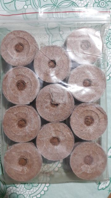 Viên xơ dừa nén ươm keiki, hạt giống combo 10 viên