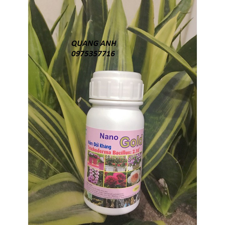 Chế phẩm Nano Gold Nấm đối kháng trichoderma Bacillus 2.10^9 lọ 250ml