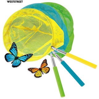 Vợt bắt bướm/cá nhiều màu