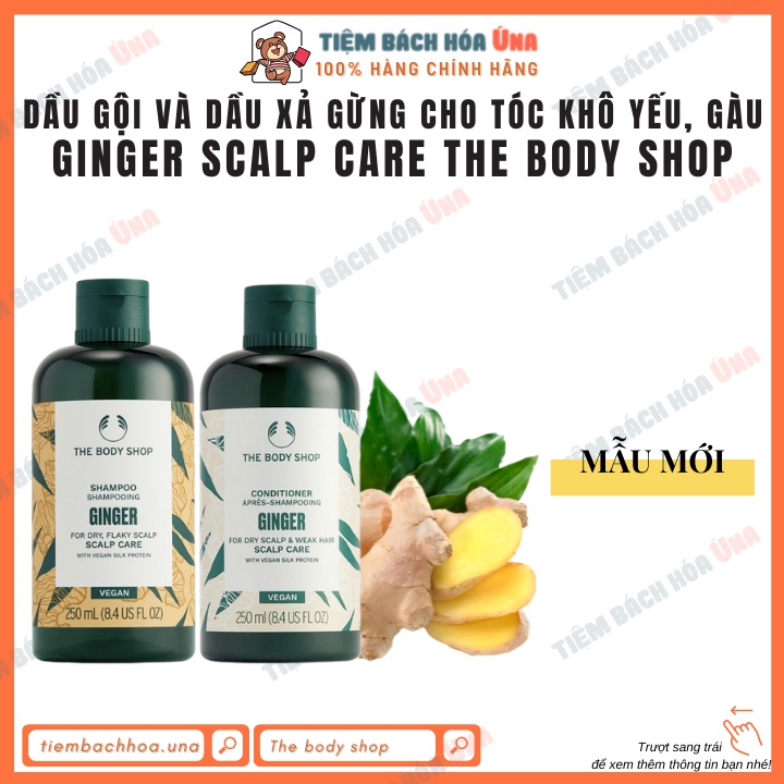 Dầu gội và dầu xả gừng chăm sóc tóc gàu, bết The body shop Ginger Anti-Dandruff