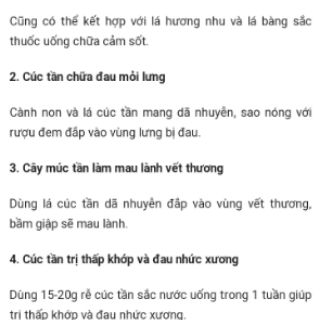 Gốc Cây cúc tần