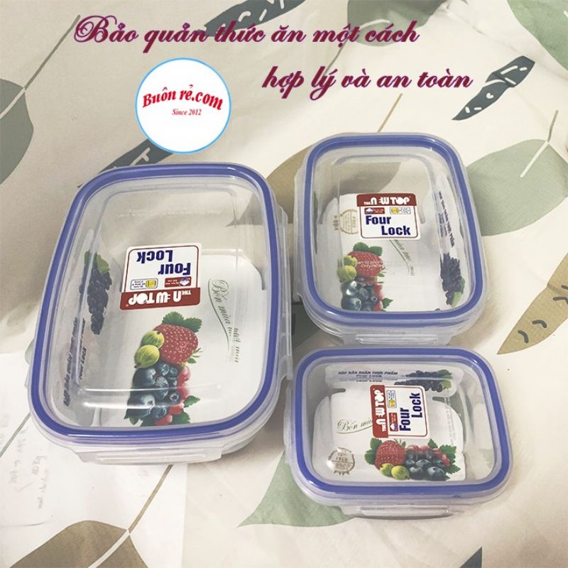 Bộ 3 hộp trữ đông thực phẩm cao cấp Lock and Lock nhựa Song Long