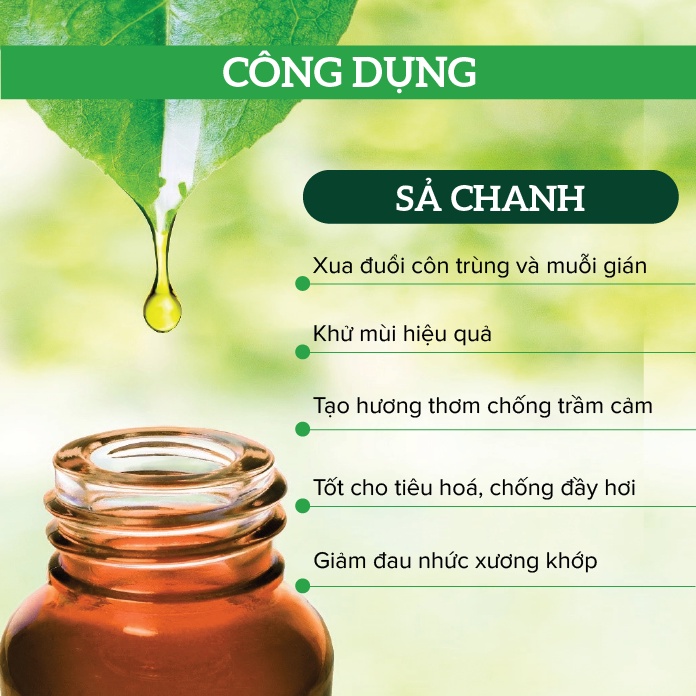 Tinh dầu hữu cơ Organic Sả Chanh Việt Nam ÔNG TÂY 100ml
