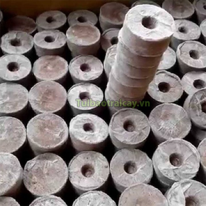 20 Viên nén xơ dừa ươm hạt - XD2