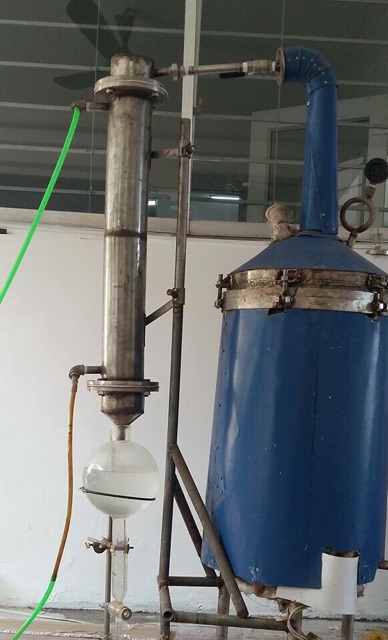 Tinh dầu bưởi tóc 100ml nguyên chất | BigBuy360 - bigbuy360.vn