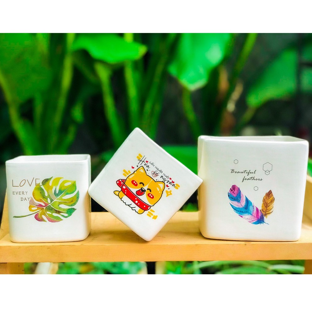 CHẬU VUÔNG TRỒNG CÂY PHONG THỦY, CÂY BON SAI SANG TRỌNG