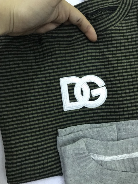 40 Áo thun DG body