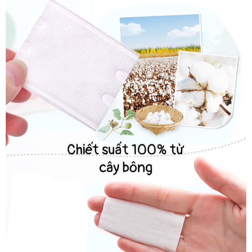 Bông tẩy trang 222 miếng 3 Lớp Cotton Pads Miếng Tẩy Trang | BigBuy360 - bigbuy360.vn