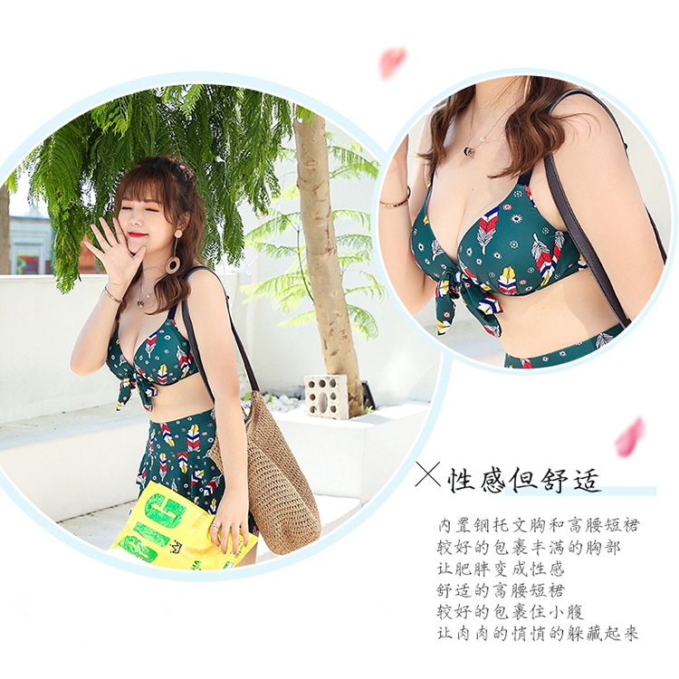 Bộ Đồ Bơi Ba Mảnh Che Phủ Bụng Cỡ Lớn 423 Ting 2xl-5xl | BigBuy360 - bigbuy360.vn