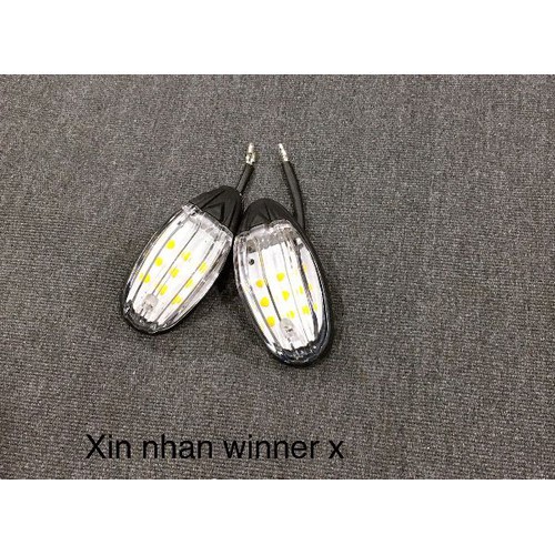 Xi nhan Winner X
