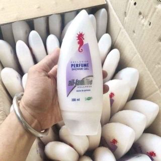 Sửa tắm Cá ngựa