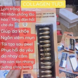 Viên ủ collagen tươi