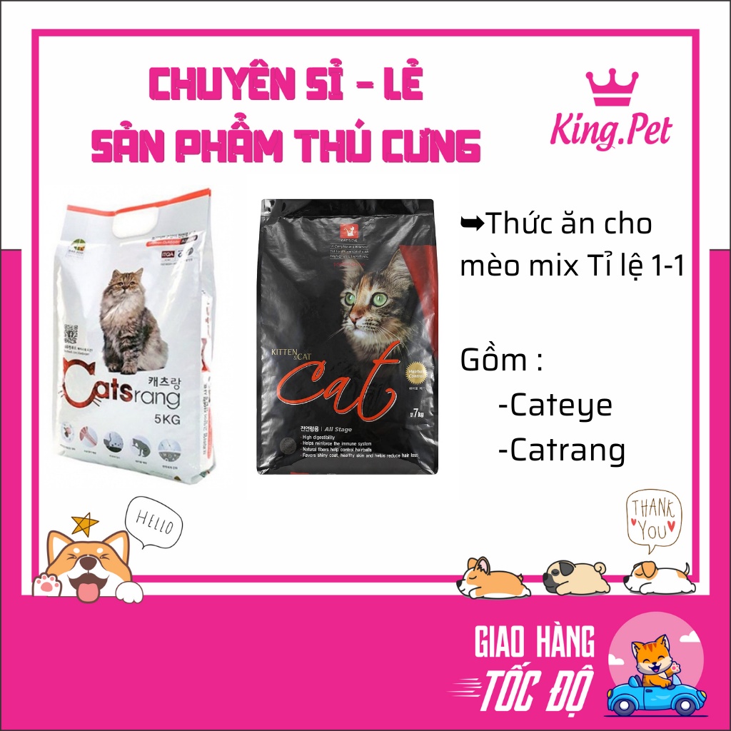 CATEYE - CATSRANG TỈ LỆ 1-1