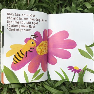 Ehon Accototo (Bộ 4 Cuốn)