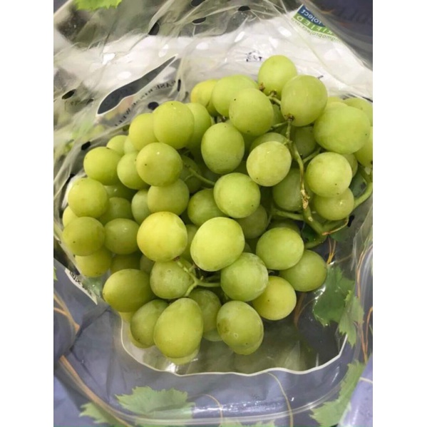 HCM Free Ship - Nho Xanh Không Hạt Mỹ Tươi Cứng Giòn Ngọt 500gr