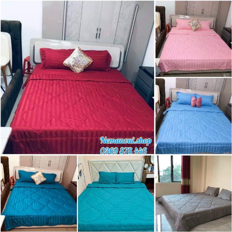Bộ drap cotton sọc 3F trơn sang trọng