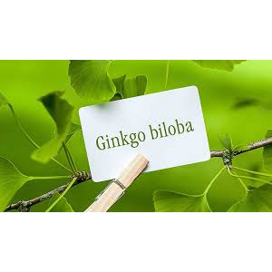 Bioco Ginletin Ginkor Fort Ginko Fort (30 viên) Pháp GINKGO BILOBA