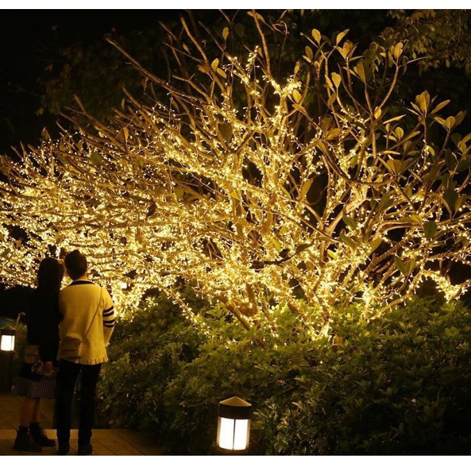 Đèn nhấp nháy led dài 10m, 20m, 30m, 50m