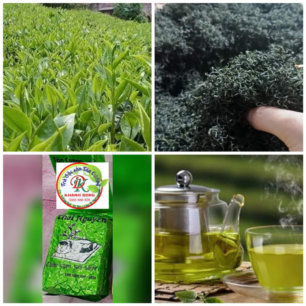 CHÈ (TRÀ) MÓC CÂU LOẠI ĐẶC BIỆT _CHÈ TÂN CƯƠNG_TRÀ THÁI NGUYÊN_cơ sở sx chè Khánh Dung (giá xưởng)