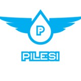 pilesi, Cửa hàng trực tuyến | BigBuy360 - bigbuy360.vn