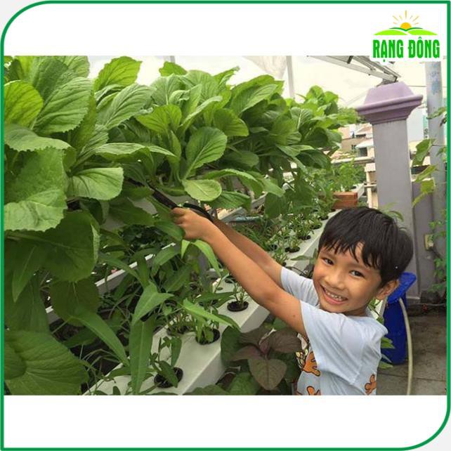 Dung Dịch Thủy Canh HYDROPONIC 500ML 🍥FREESHIP🍥 Dung Dịch Dành Cho Cây Sống Trong Môi Trường Nước