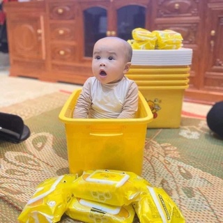 Thùng khăn ướt con vịt vàng